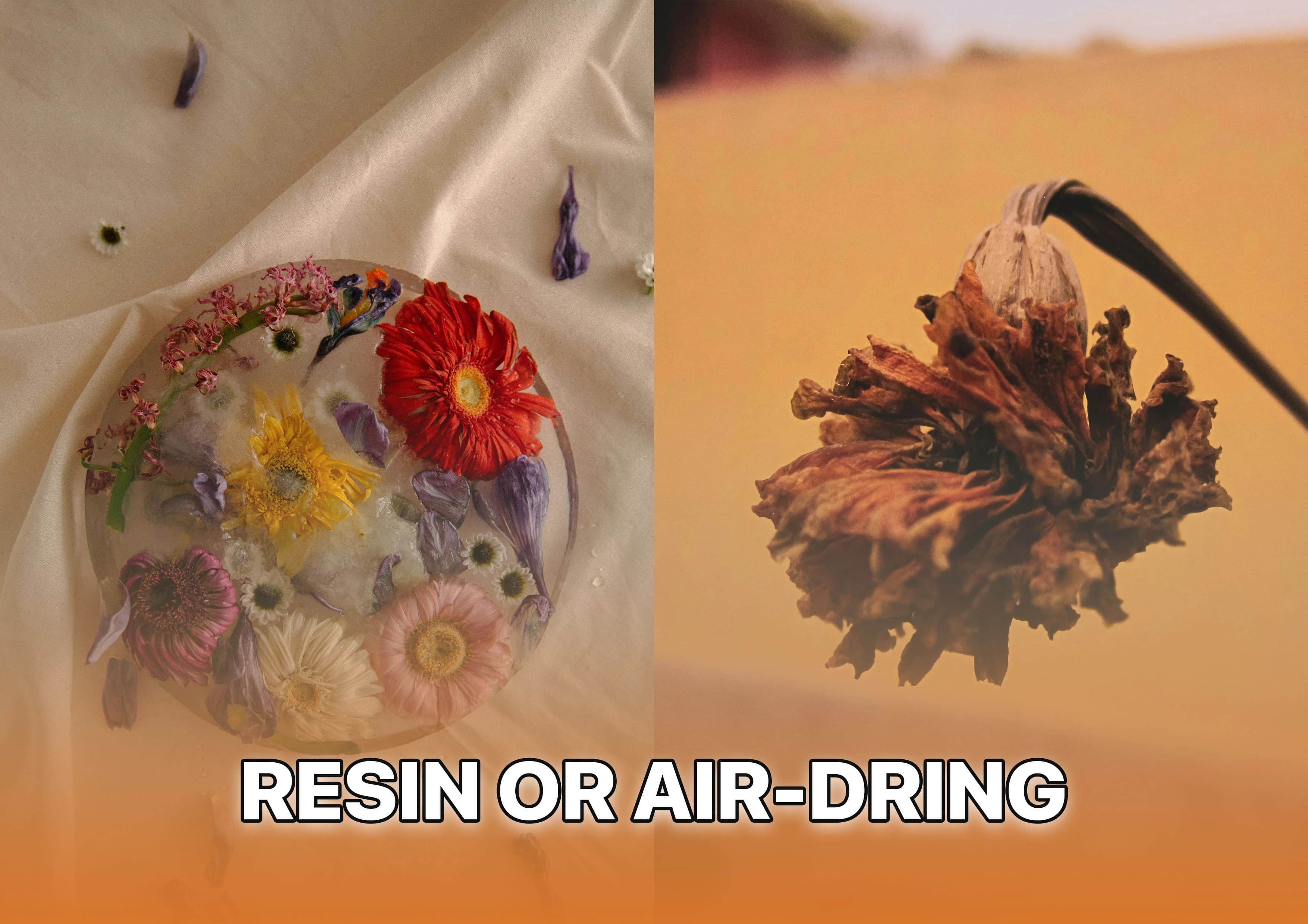 Resin vs. Air Drying: Which Flower Preservation Method is Best?