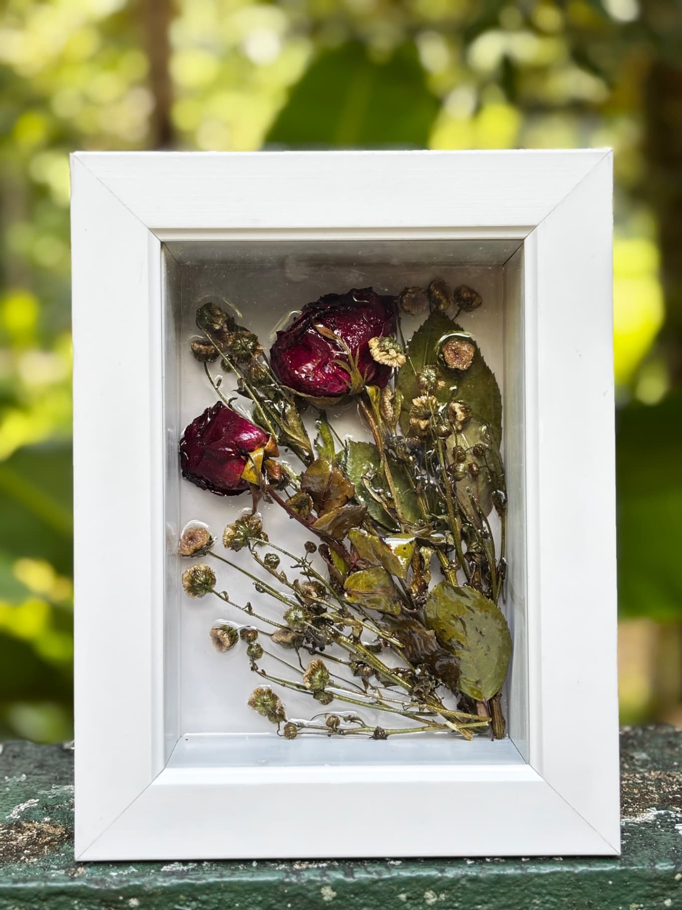 Glass frame preservation 